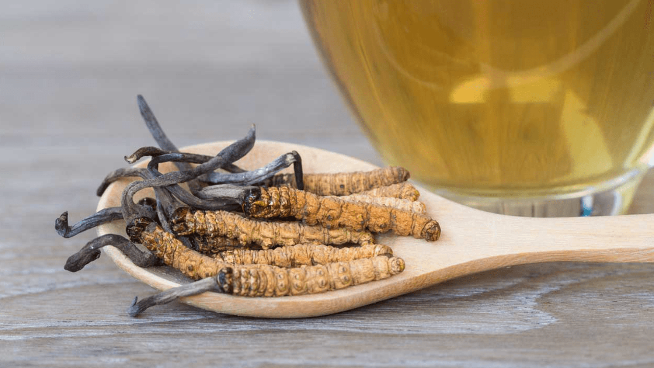 5 Benefits of Cordyceps Mushroom Tinctures - No Ordinary Moments